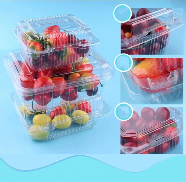 wholesale factory PET Fruit and vegetable Food Container with EU regulation