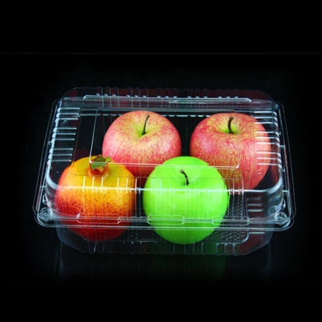 PET disposable plastic takeaway food containers