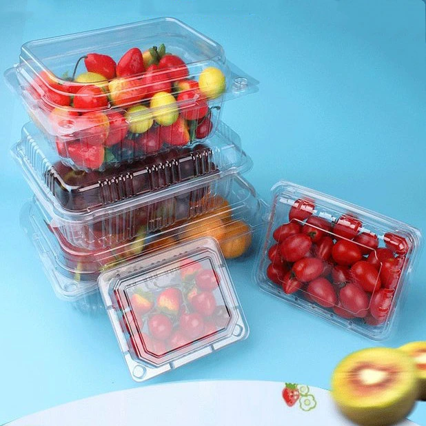 wholesale factory PET Fruit and vegetable Food Container with EU regulation