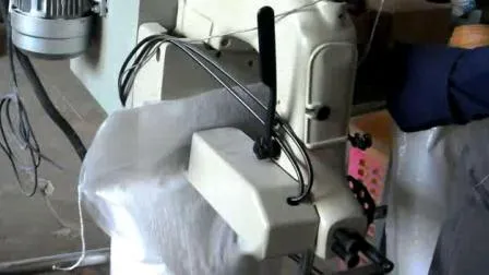 China Factory High Speed Bean/Fertilizer/Seed/Food/Rice/Sugar Weighing Packing Machine 