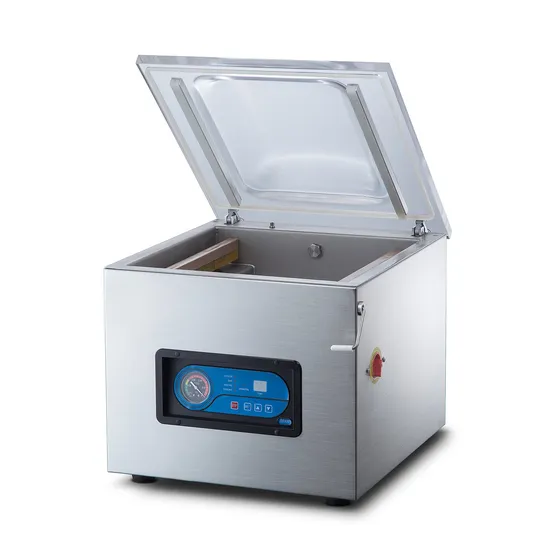 Dried Fruit Vacuum Sealer High Quality Frozen Commercial Automatic Vacuum Packing Machine (DZ